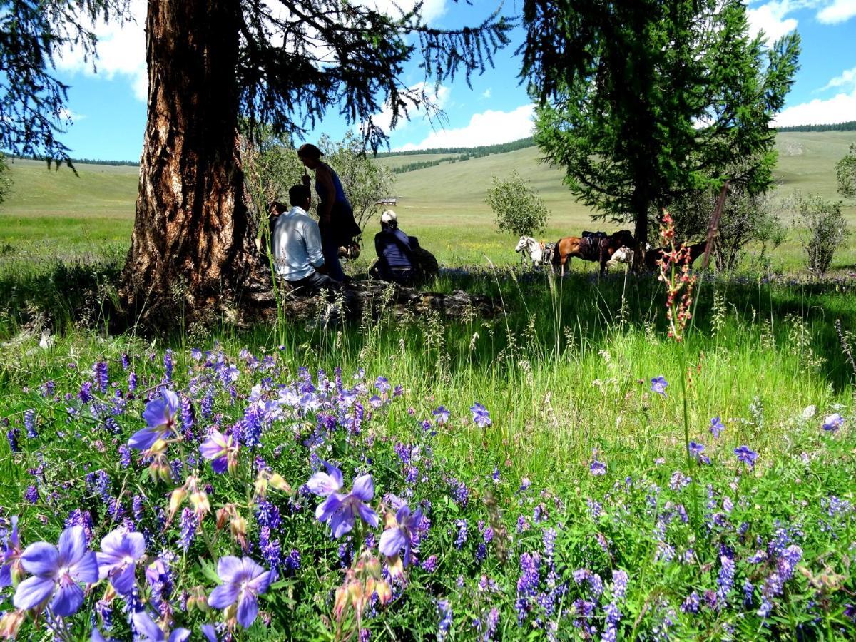 Top Tour & Guesthouse Mongolia Ulan Bator Eksteriør bilde